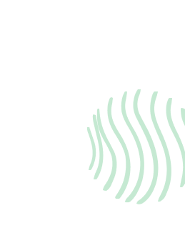 3 1